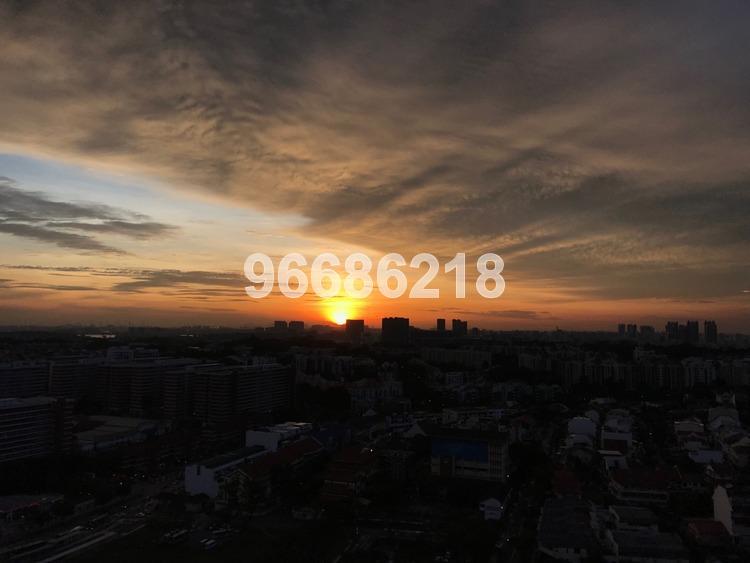Beauty World Centre (D21), Apartment #172111242